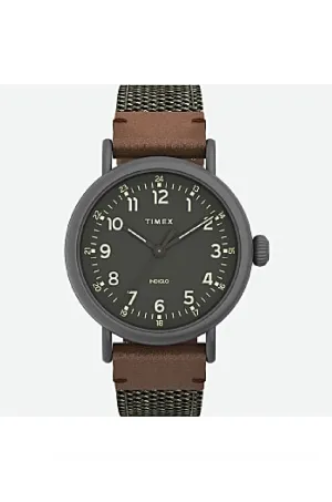 Timex Standard 40Mm Green
