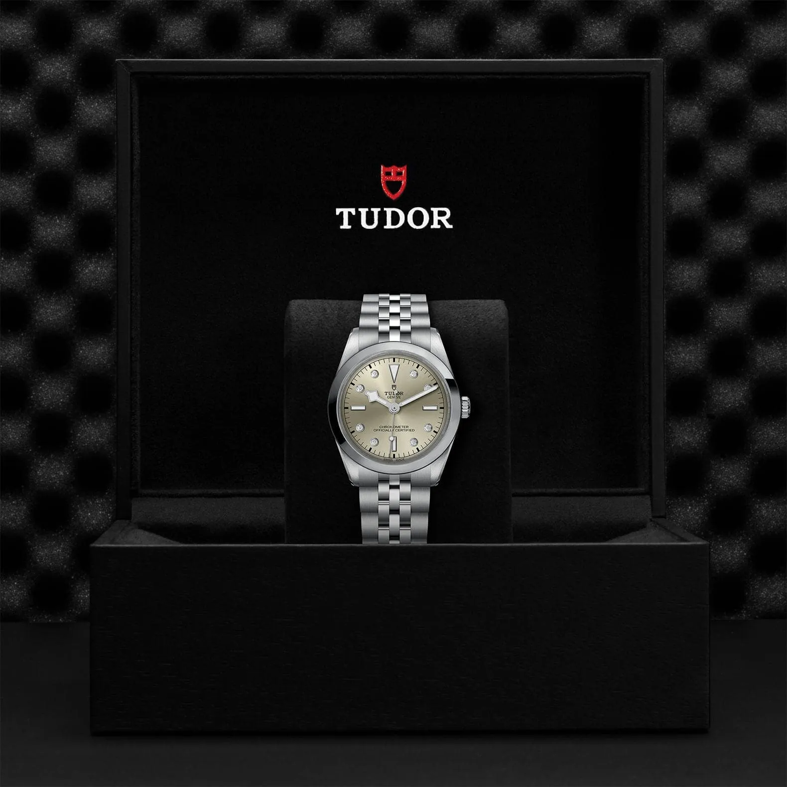 TUDOR Black Bay 31/36/39/41 36Mm Steel Case - M79640-0006