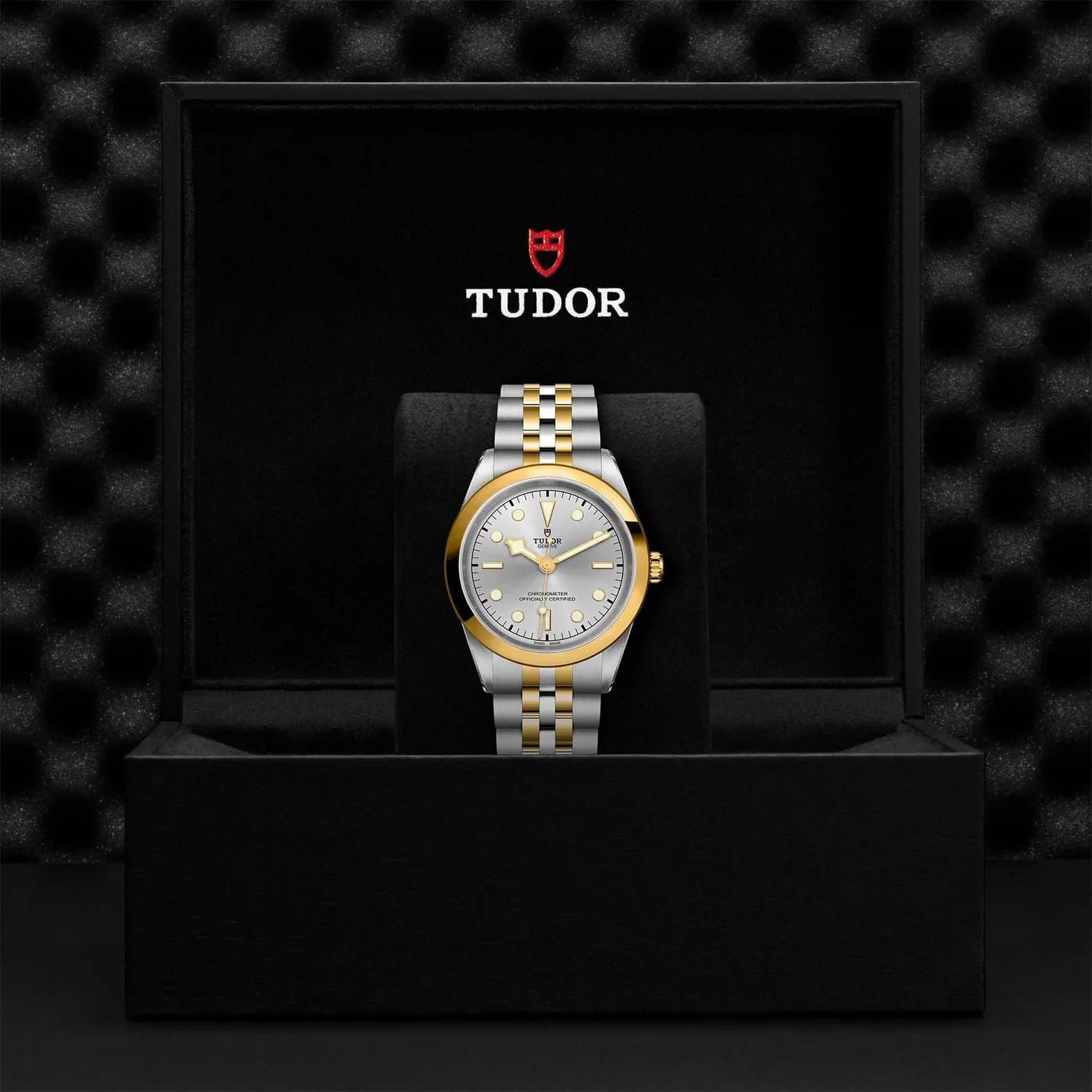 TUDOR Black Bay 41 S&G 41mm Steel - M79683-0002