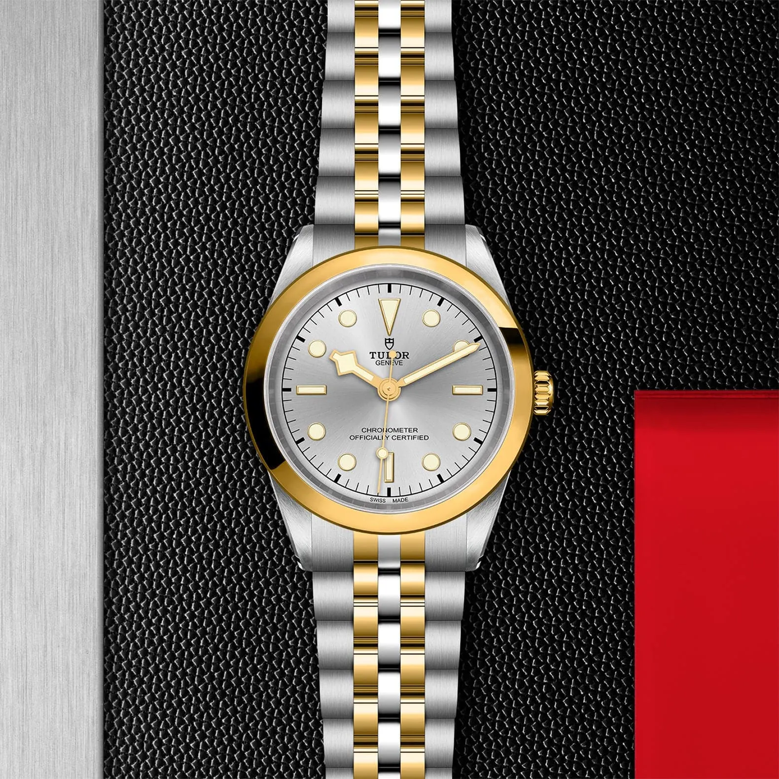 TUDOR Black Bay 41 S&G 41mm Steel - M79683-0002