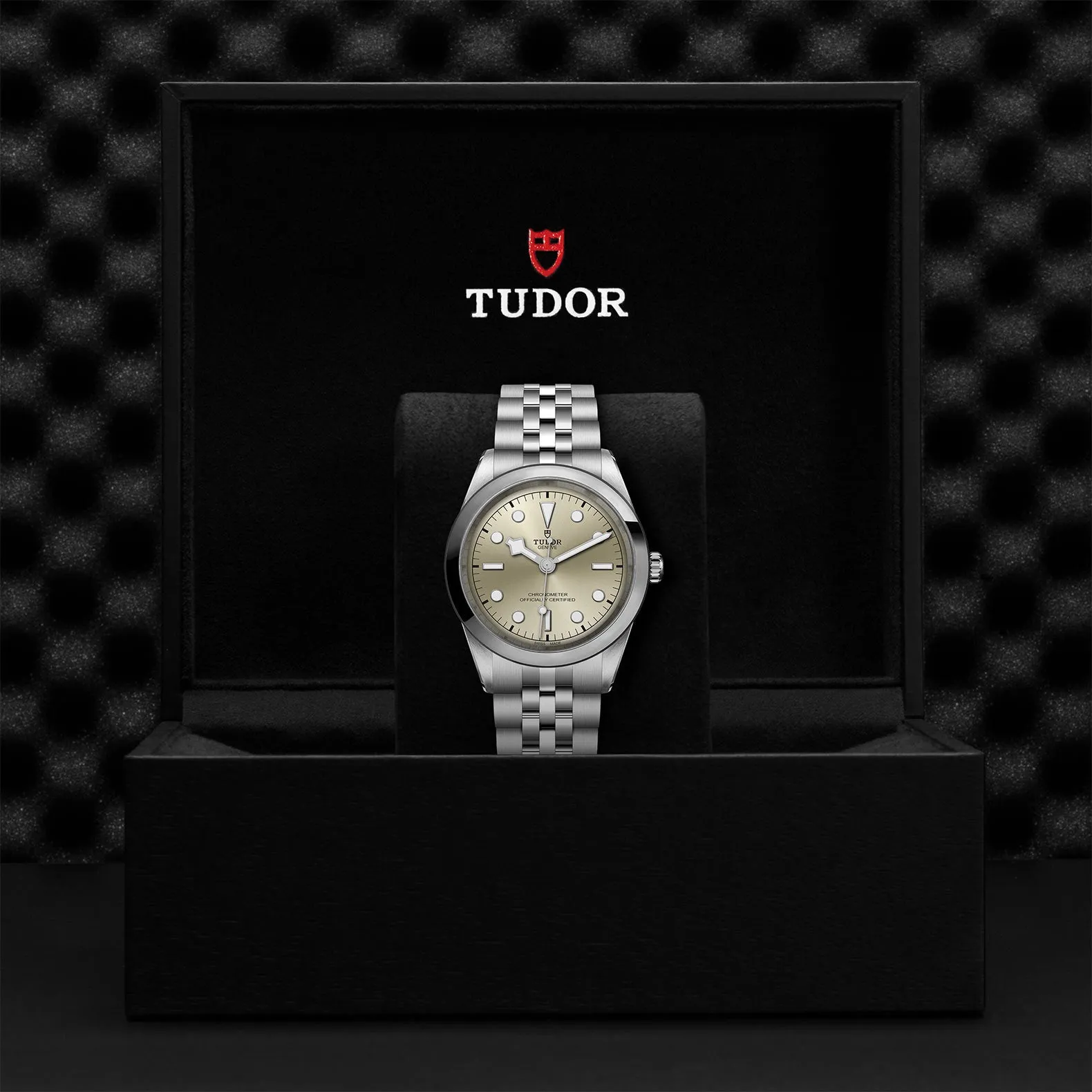 TUDOR Black Bay 41mm Case, Light Champagne Dial, Steel Strap (M79680-0003)