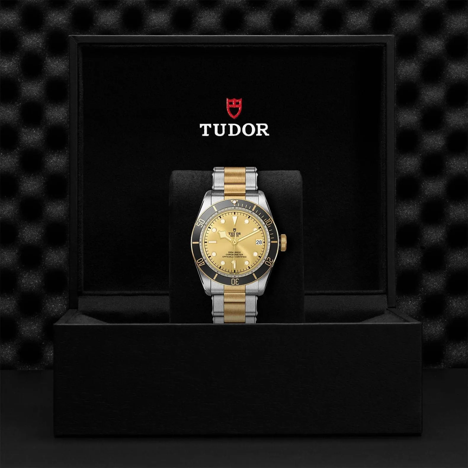 TUDOR Black Bay S&G 41mm Steel And Gold Men's Watch - M79733N-0004